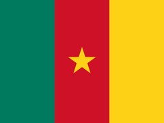 Flag of Cameroon